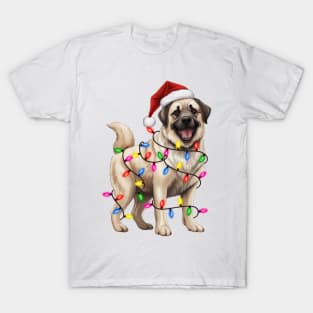 Christmas Anatolian Shepherd T-Shirt